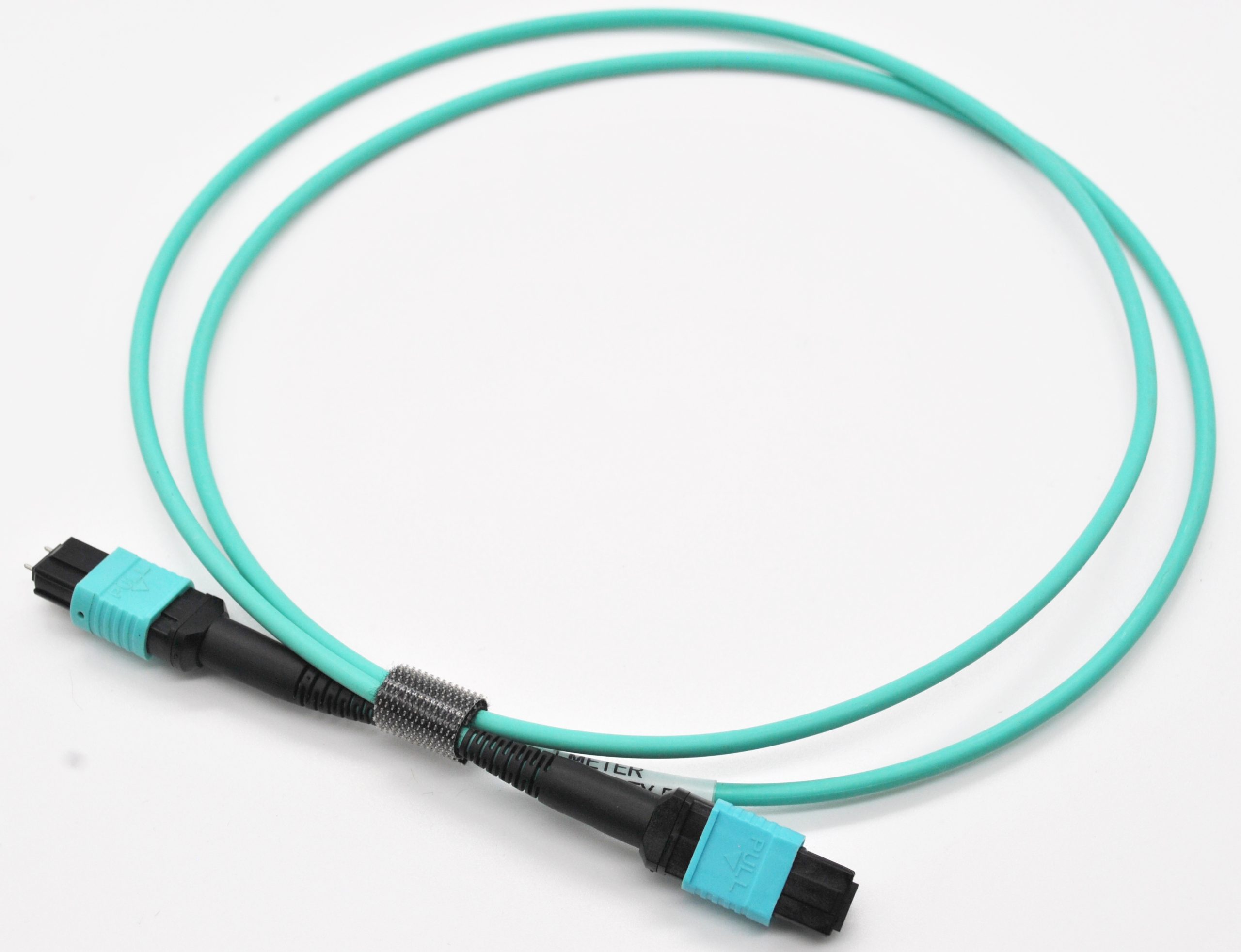 fitness-service-01 dsc-0002
