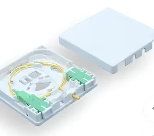 2 Port Fiber Optic Outlet Box With 2 SC Adapter Ports